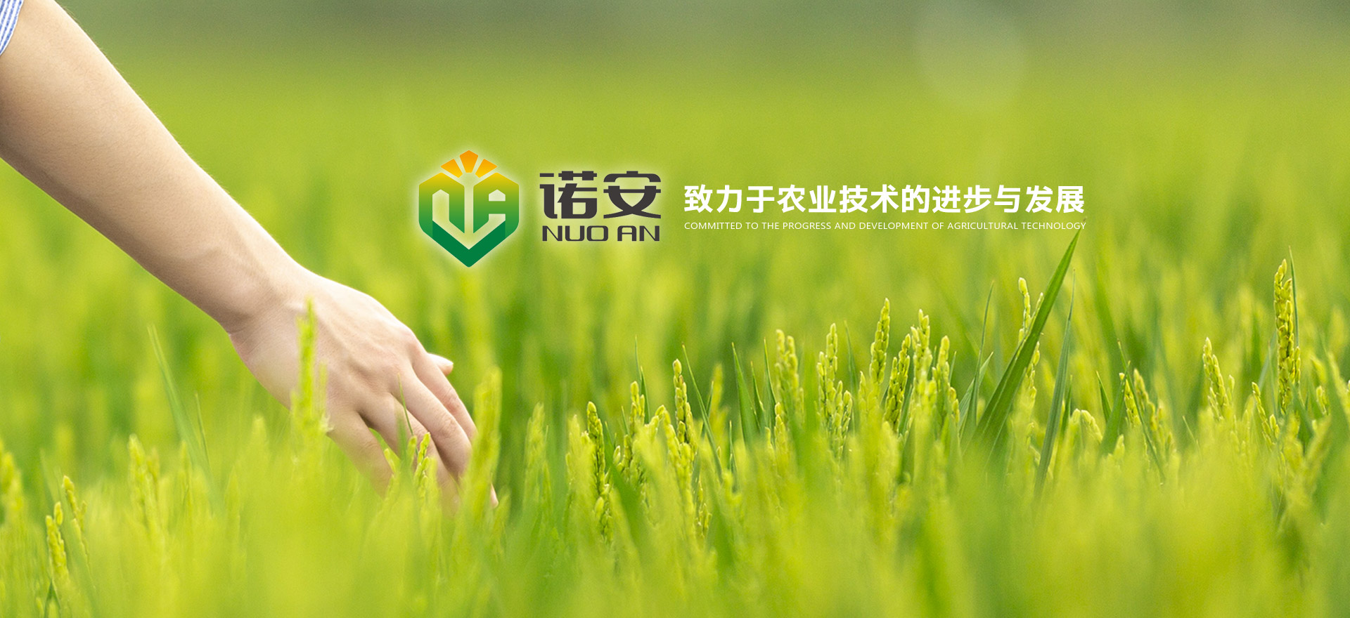 诺安生态肥业